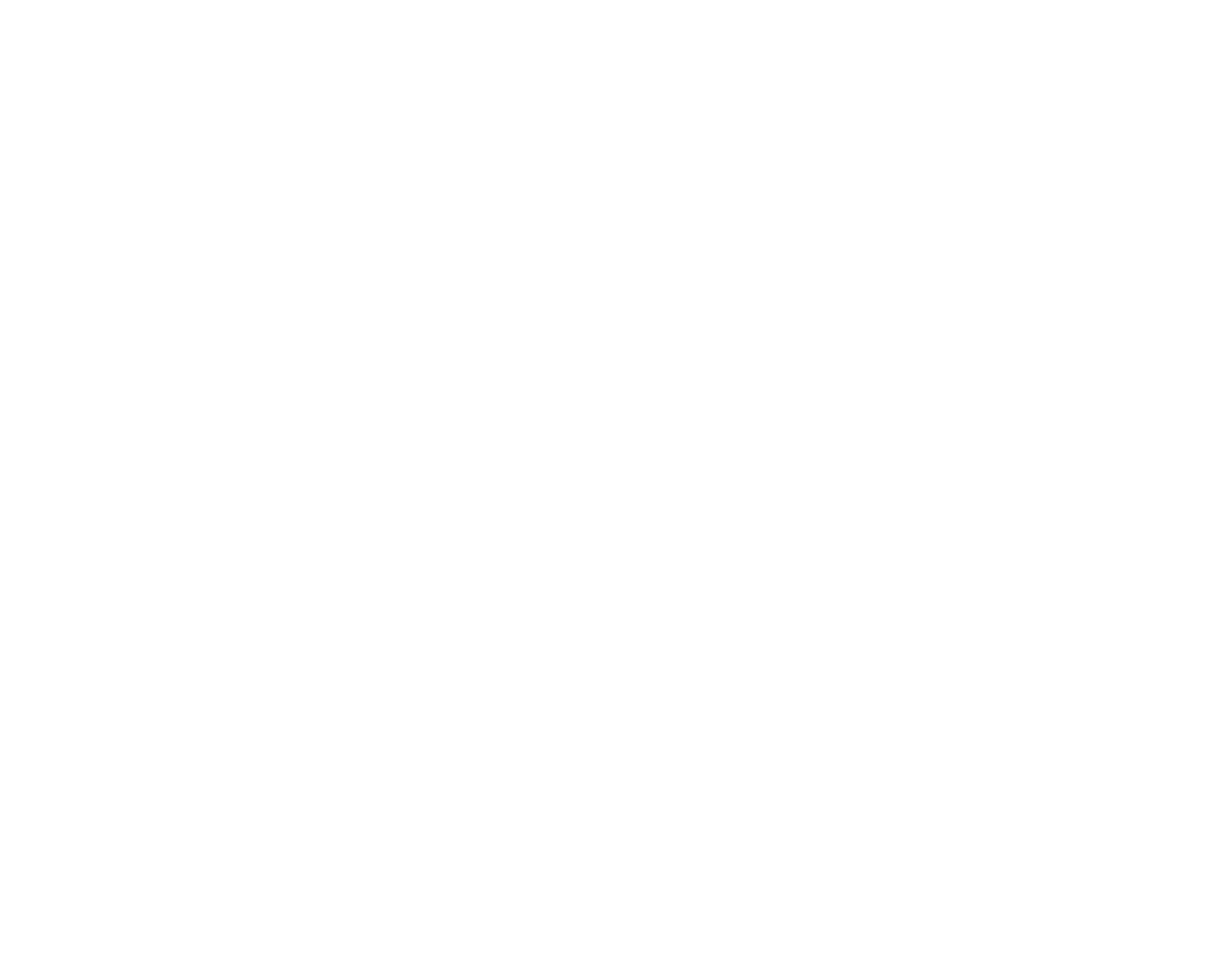 SnowFox 2024_wh